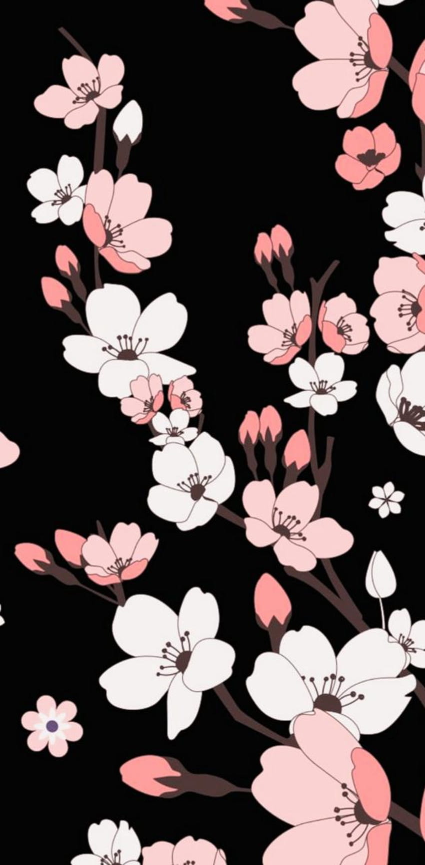 Black Cherry Blossom autorstwa ChillVibes1652 – na ZEDGEâ, Dark Cherry Blossom Tapeta na telefon HD